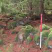 Field survey, Site 21 F1 enclosure, Glen App Wind Farm, South of Ballantrae, South Ayrshire