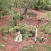 Field survey, Site 21 F2 lambing pen, Glen App Wind Farm, South of Ballantrae, South Ayrshire