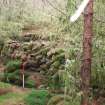 Field survey, Site 21 F3 enclosure (sheepfold), Glen App Wind Farm, South of Ballantrae, South Ayrshire