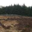 Field survey, Site 6 sheepfold and cairn, Glen App Wind Farm, South of Ballantrae, South Ayrshire