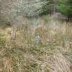 Field survey, Site 16 F1 possible shieling, Glen App Wind Farm, South of Ballantrae, South Ayrshire