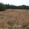 Field survey, Site 45 enbankment/dam, Glen App Wind Farm, South of Ballantrae, South Ayrshire