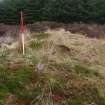 Field survey, Site 55 head dyke/embankment, Glen App Wind Farm, South of Ballantrae, South Ayrshire