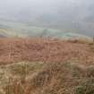 Field survey, Site 56 possible building, Glen App Wind Farm, South of Ballantrae, South Ayrshire