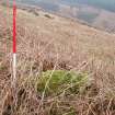 Field survey, Site 56 stone chamber, Glen App Wind Farm, South of Ballantrae, South Ayrshire