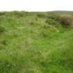 Field survey of planting areas and receptors, SM2186, Finnarts Hill enclosure, bank and ditch, from NE, Glen App Wind Farm, South of Ballantrae, South Ayrsh