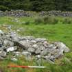 Field survey of planting areas and receptors, Site 33, from NW, Glen App Wind Farm, South of Ballantrae, South Ayrsh