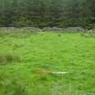 Field survey of planting areas and receptors, Site 45, E-W bank, from E, Glen App Wind Farm, South of Ballantrae, South Ayrsh