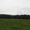 Field survey of planting areas and receptors, SM5477 site 24, looking E towards PDA, from W, Glen App Wind Farm, South of Ballantrae, South Ayrsh