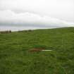 Field survey of planting areas and receptors, Site 45, N-S bank, from SSE, Glen App Wind Farm, South of Ballantrae, South Ayrsh