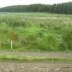 Field survey of planting areas and receptors, Site 25.2, turf bank by track, from WSW, Glen App Wind Farm, South of Ballantrae, South Ayrsh