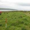 Field survey of planting areas and receptors, Site 25.1, clearance cairns, from SE, Glen App Wind Farm, South of Ballantrae, South Ayrsh