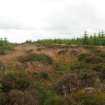 Field visit, Area of proposed track currently forest ride from SW, Greeness Wind Farm, Aberdeenshire