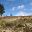 Watching brief, Site 104 general view and fencing off, 132kV Cable Route, Moffat Substation to Harestanes Windfarm