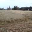 Plate 8 in geophysical survey report - Area 5 looking north across undulating terrain and boggy area