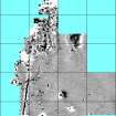 Processed magnetometry image for Area1 with grids overlaid for georectification