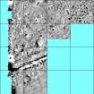 Processed magnetometry image for Area2 with grids overlaid for georectification