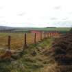 Demarcation, Site 31, showing netlon fencing and signage in place, Phase 2 and 3, Penmanshiel Wind Farm, Scottish Borders, Scottish Borders
