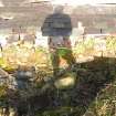 Standing building survey, General shot of the rubble built walls of the pigsty, Polwarth Crofts, Scottish Borders