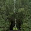 View of sundial in Walled Garden, Brechin Castle. 