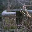 Environmental statement, Small extension on SE of enclosure, Rohallion Castle, Dunkeld