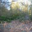 Environmental statement, Panorama view from within W area, Rohallion Castle, Dunkeld