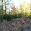 Environmental statement, Panorama view from within W area, Rohallion Castle, Dunkeld