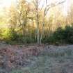 Environmental statement, Panorama view from within W area, Rohallion Castle, Dunkeld