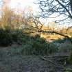 Environmental statement, Panorama view from within W area, Rohallion Castle, Dunkeld