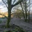 Environmental statement, Panorama view from within W area, Rohallion Castle, Dunkeld