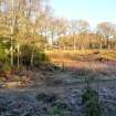 Environmental statement, Panorama of development area from W, Rohallion Castle, Dunkeld