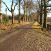 Environmental statement, Panorama of area from track to N of area, Rohallion Castle, Dunkeld