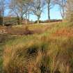 Environmental statement, Panorama of area from centre looking W, Rohallion Castle, Dunkeld