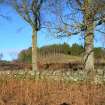 Environmental statement, View towards Duncan’s Hill from development area, Rohallion Castle, Dunkeld