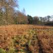 Environmental statement, Panorama of area from centre looking E, Rohallion Castle, Dunkeld