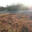 Environmental statement, Panorama of area from centre looking E, Rohallion Castle, Dunkeld