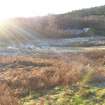 Environmental statement, Panorama of area from centre looking E, Rohallion Castle, Dunkeld