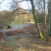 Environmental statement, Panorama looking E from track and across loch, Rohallion Castle, Dunkeld