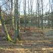 Environmental statement, Panorama looking E from track and across loch, Rohallion Castle, Dunkeld