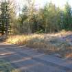 Environmental statement, View to W from fork in road within area, Rohallion Castle, Dunkeld