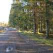 Environmental statement, View along access track towards main road, Rohallion Castle, Dunkeld