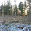 Environmental statement, Panorama of E end of development, Rohallion Castle, Dunkeld