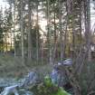 Environmental statement, Panorama of E end of development, Rohallion Castle, Dunkeld