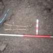 Watching brief, Lower leg remains at 0.9m depth in chamber dig, 401-2 Strathbrock Parish Church, Uphall