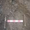 Watching brief, Detailed shot of human skeleton at 1.2m depth, 401-2 Strathbrock Parish Church, Uphall