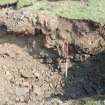 Watching brief, Trial pit 170, Site investigation, Stroupster Farm, Caithness