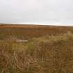 Watching brief, Sheepfold (Site 16), Construction, Stroupster Farm, Caithness