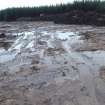 Watching brief, Peat clearance from overburden storage, plough scars, Construction, Stroupster Farm, Caithness