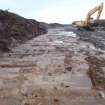 Watching brief, Peat recorded from SW strip Borrow Pit 1, Construction, Stroupster Farm, Caithness