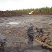 Watching brief, Peat recorded from SW strip Borrow Pit 1, Construction, Stroupster Farm, Caithness